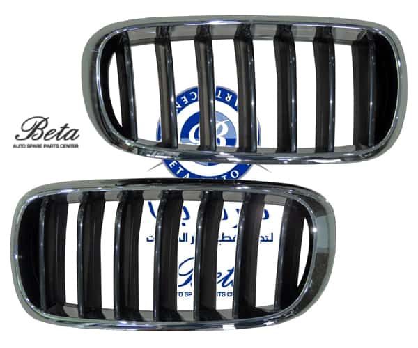 BMW X5 F15 (2014-2018), Radiator Grille -Black and Chrome (Left), Taiwan, 51137294485