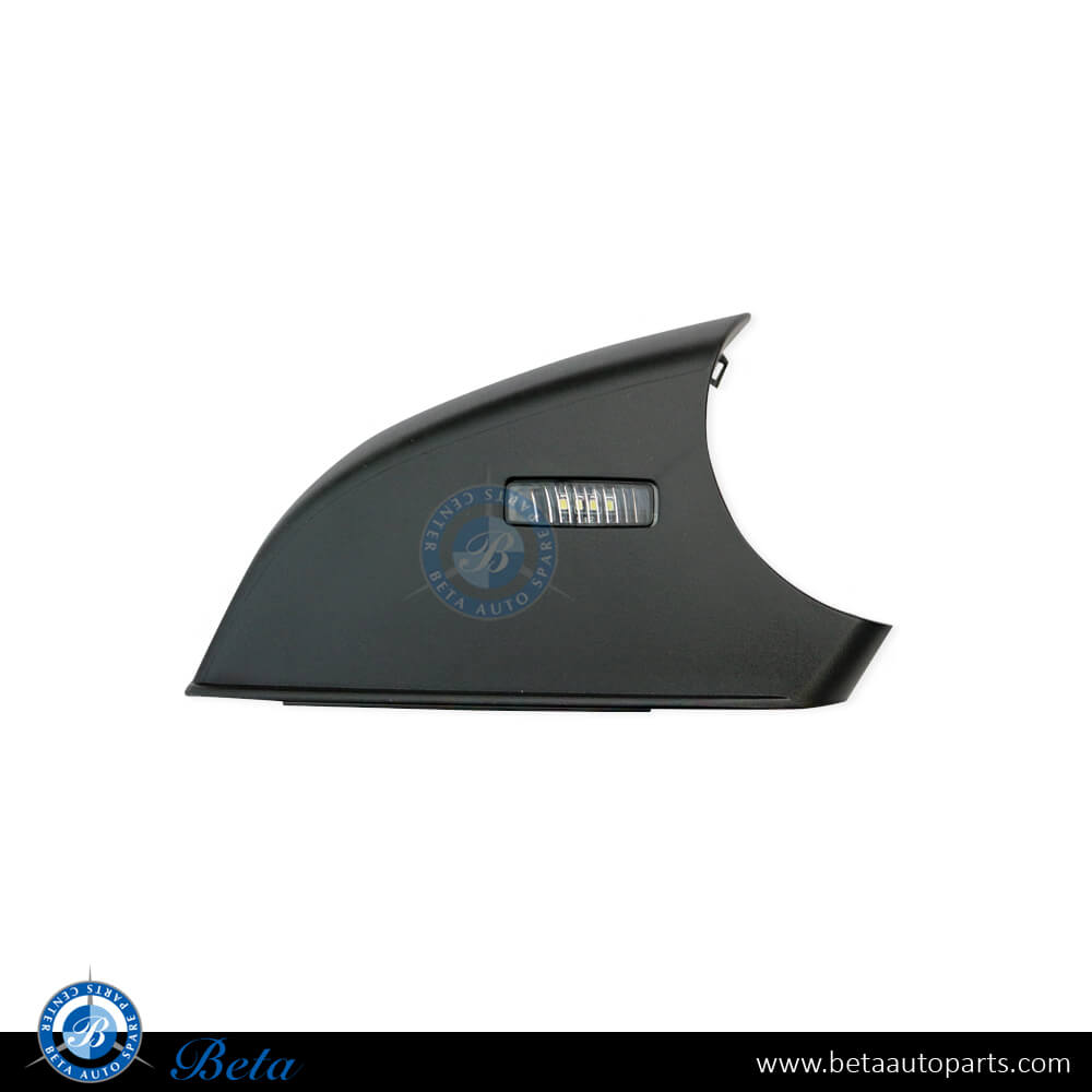 Mercedes ML-Class/R-Class/GL-Class W166/W251/X164 Mirror Under Cover with Foot LP , Part Number 1668100415