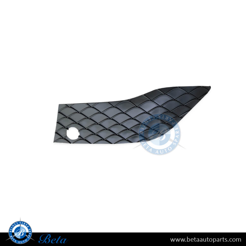 Mercedes GLE-Class W166 (2015-2018), Front Bumper Center Grille Cover Standard (Left), Taiwan, 1668856722