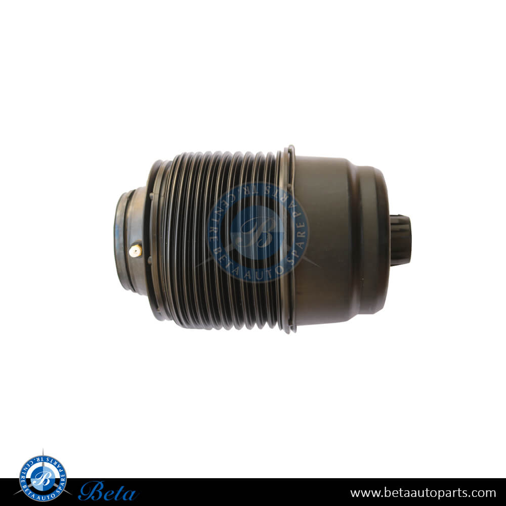 Left, Right Side Rear Air Spring for Mercedes GLE-Class / GLS-Class 2019-Up models, Part Number 1673200025