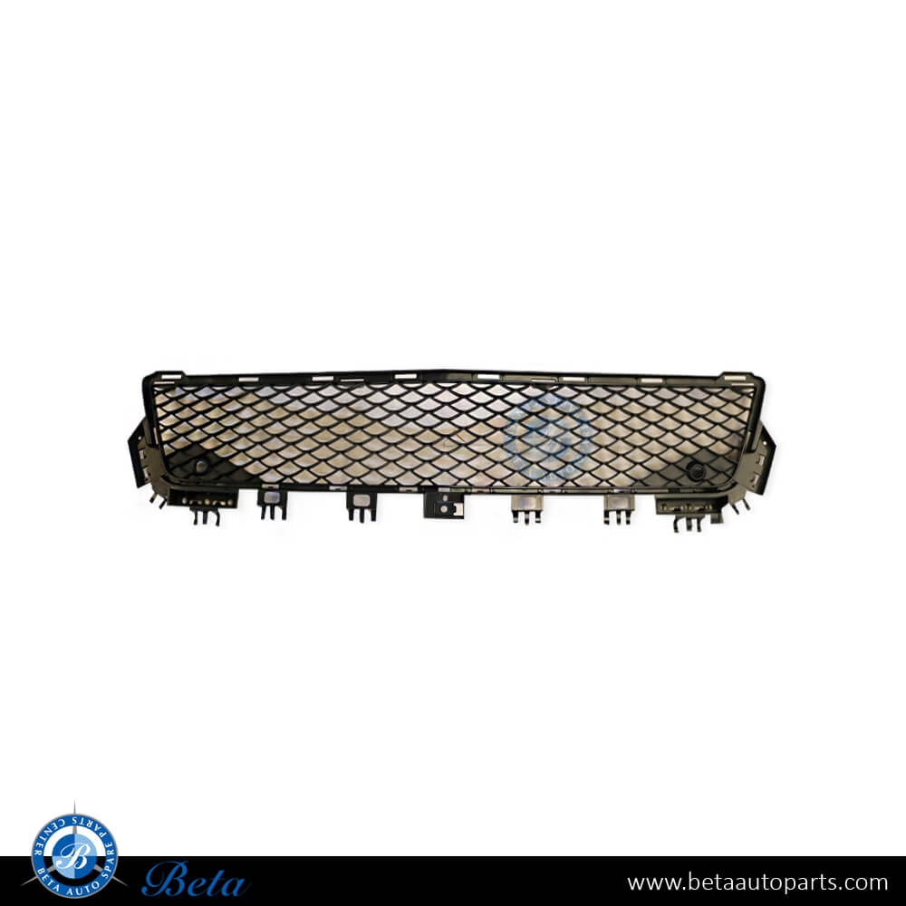 Front Bumper Lower Grille AMG C63 for Mercedes C-Class W204 2011-2014 models, Part Number 2048851753