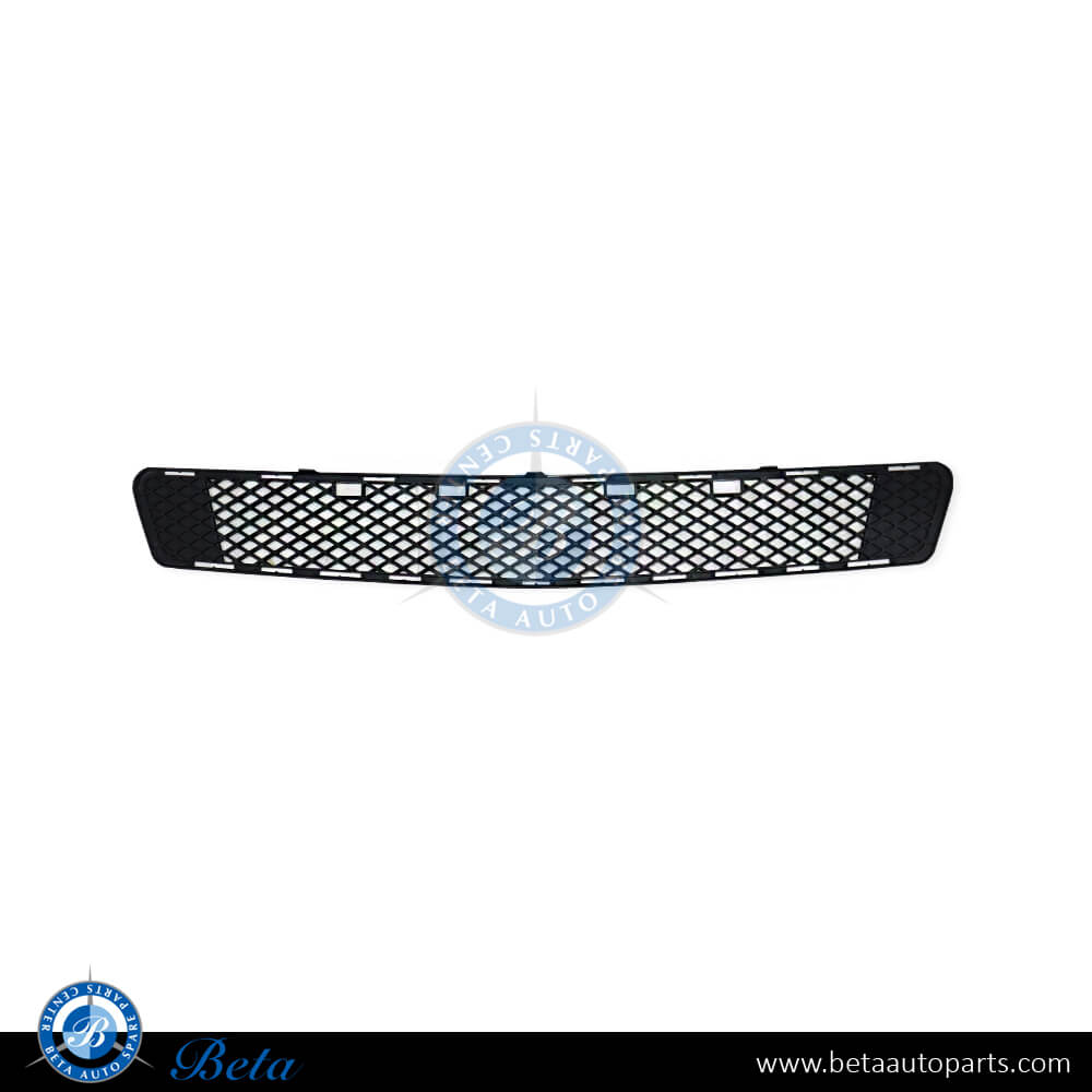 Front bumper lower grille Avantgarde for Mercedes C-Class W204 2008-2010 models, Part Number 2048852123