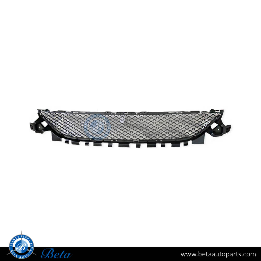 Front Bumper Lower Grille Normal AMG for Mercedes C-Class W205 2015-2018 models, Part Number 2058852123