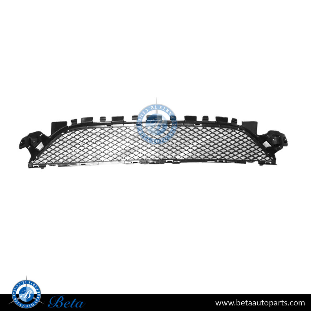 Front Bumper Lower Grille Normal AMG - Center for Mercedes C-Class 2015-2018 models, Part Number 2058852123