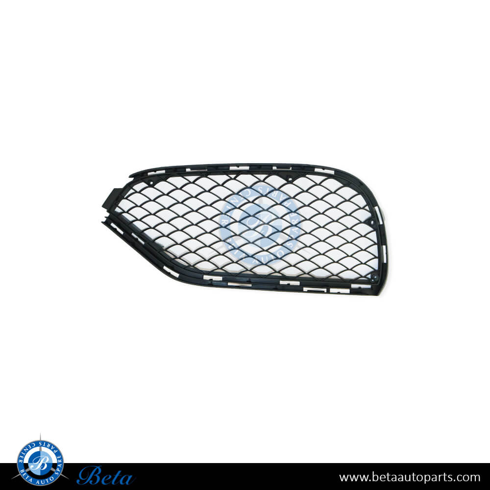 Mercedes E-Class W212 (2014-2016), Front Bumper Lower Grille AMG E63 (Left), Taiwan, 2128850724