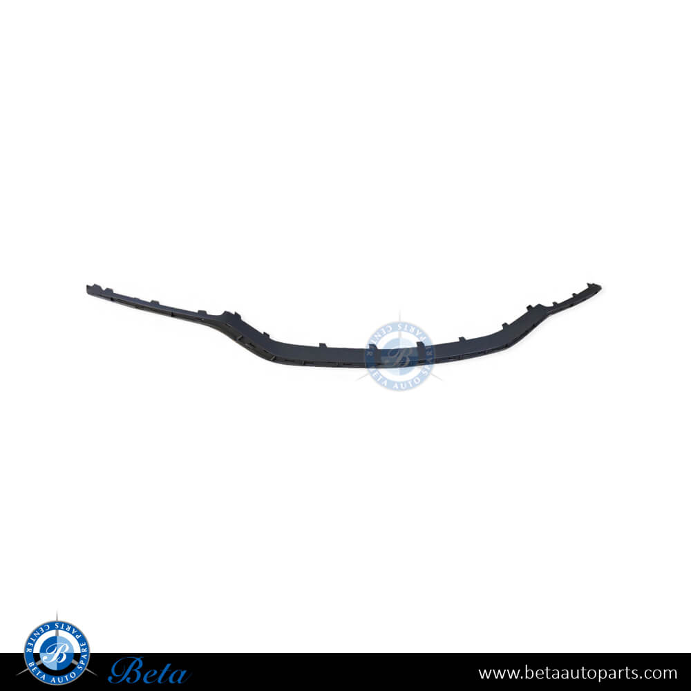 Mercedes E-Class W212 (2014-2016), Front Bumper Center Moulding AMG E63 (Silver), Taiwan, 2128853674