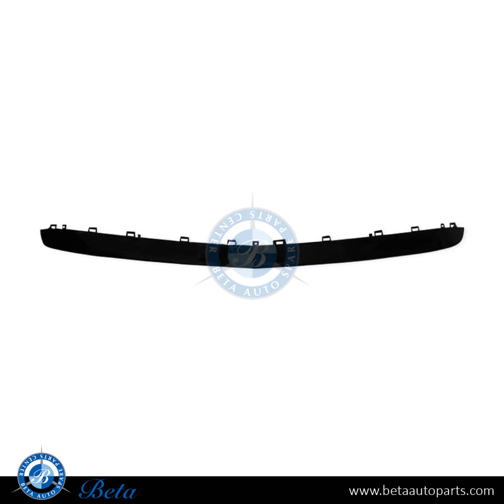 Mercedes E-Class W212 (2014-2016), Front Bumper Lower Outer Moulding AMG E63 (Center), Taiwan, 2128854574