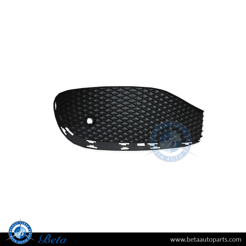 Left Side Front Bumper Lower Grille for Mercedes E-Class W213 2017-Up models, Part Number 2138851122