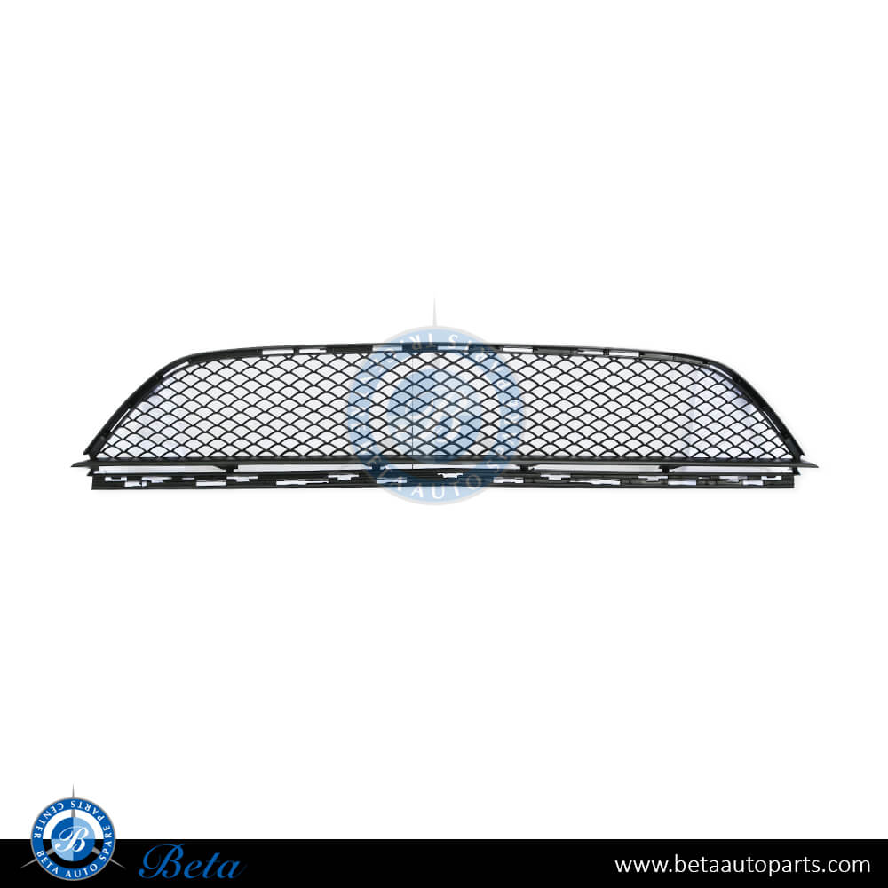 Front Bumper Lower Grille Normal AMG for Mercedes CLS-Class W218 2015-2018 models, Part Number 2188850024