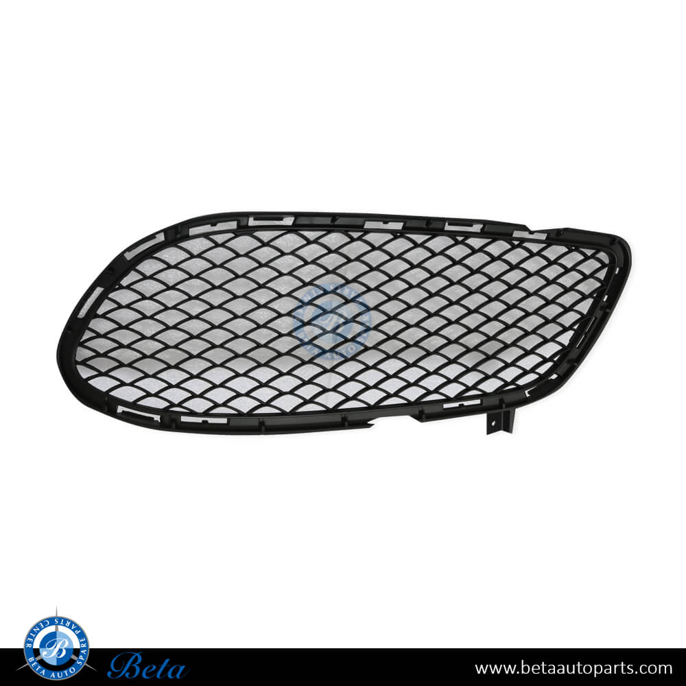 Right Side Front Bumper Lower Grille Normal AMG for Mercedes CLS-Class W218 2015-2018 models, Part Number 2188852023