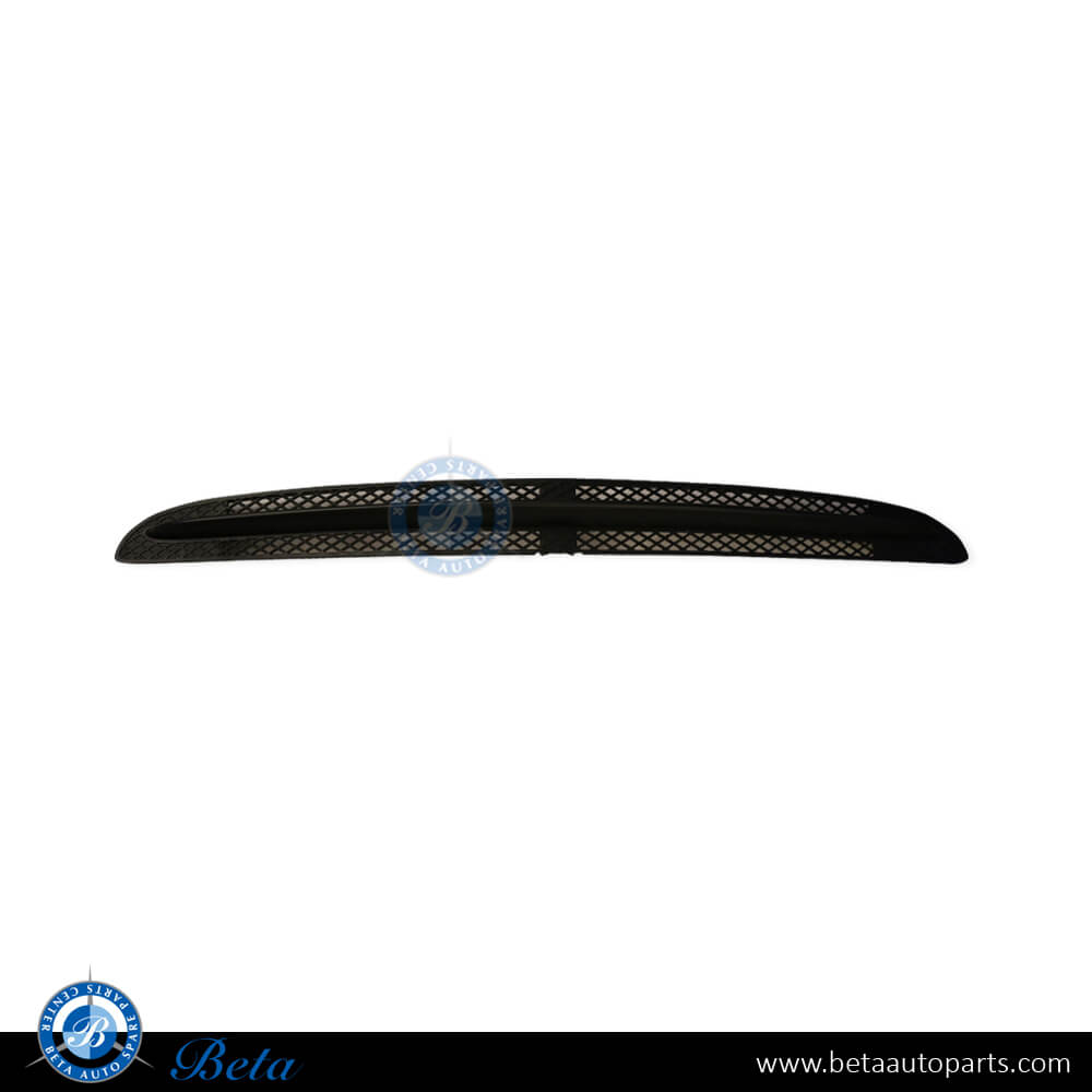 Front Bumper Lower Grille with Line for Mercedes S-Class W220 2003-2005 models, Part Number 2208850923