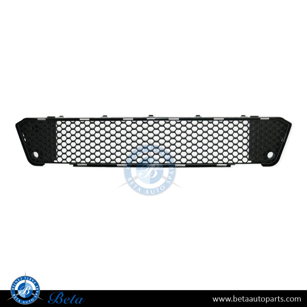 Front Bumper Lower Grille AMG S63 for Mercedes S-Class W221 2010-2013 models, Part Number 2218850953