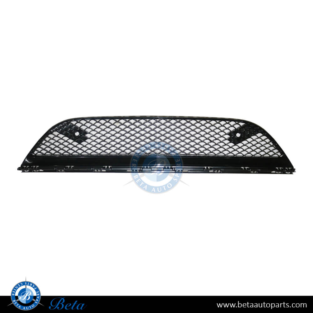 Front Bumper Lower Grille Normal AMG for Mercedes S-Class W222 2018-2020 models, Part Number 2228857100