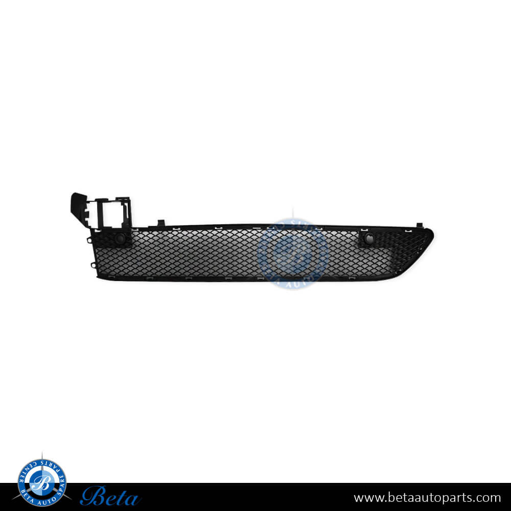 Front Bumper Lower Grille for Mercedes B-Class W246 2015-2018 models, Part Number 2468852322