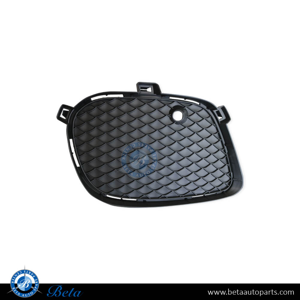 Left Side Fog Lamp Cover Normal AMG for Mercedes GLE-Class/GLS-Class W166/C292/X166 2015-2019 models, Part Number 2928855322