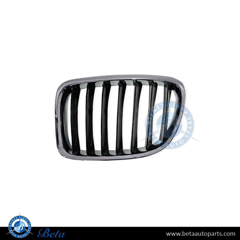 Left Side Grille for BMW X1 E84 2009-2012 models, Part Number 51112993305