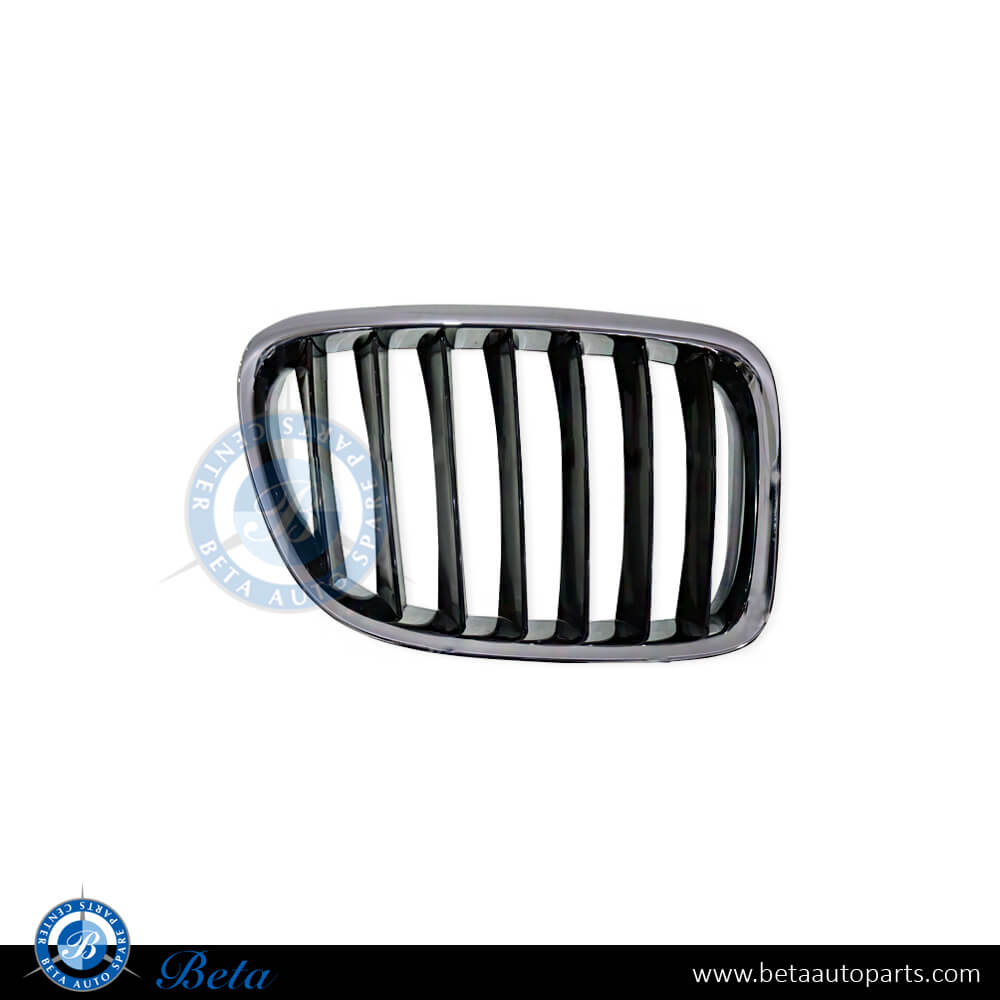 Right Side Grille for BMW X1 E84 2009-2012 models, Part Number 51112993306