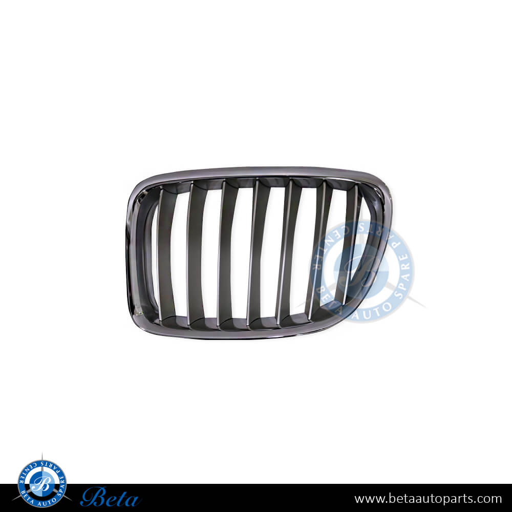 Left Side Grille for BMW X1 E84 2009-2012 models, Part Number 51112993307