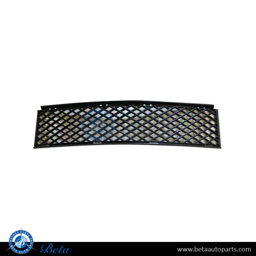 Front Bumper Lower Grille for BMW 7 Series E65 LCI 2006-2008 models, Part Number 51117135573