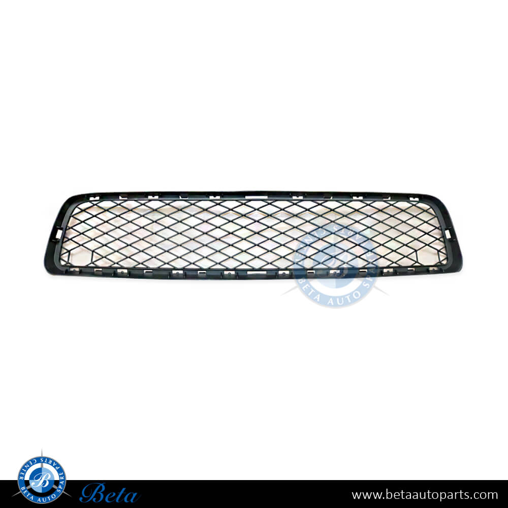 BMW X5 E70 (2007-2010), Front Bumper Lower Grille (Center), Taiwan, 51117163956