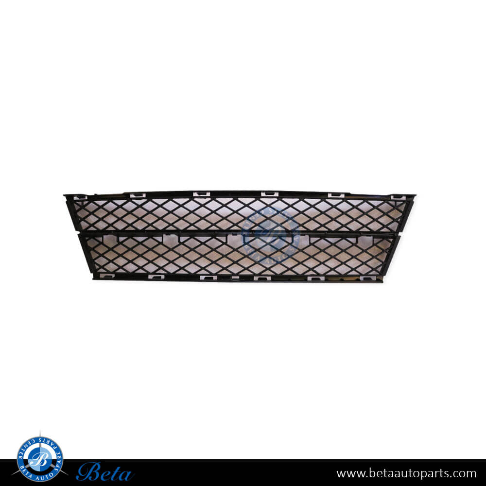 BMW 5 Series E60 LCI (2008-2009), Front Bumper Lower Grille (Center), Taiwan, 51117178115