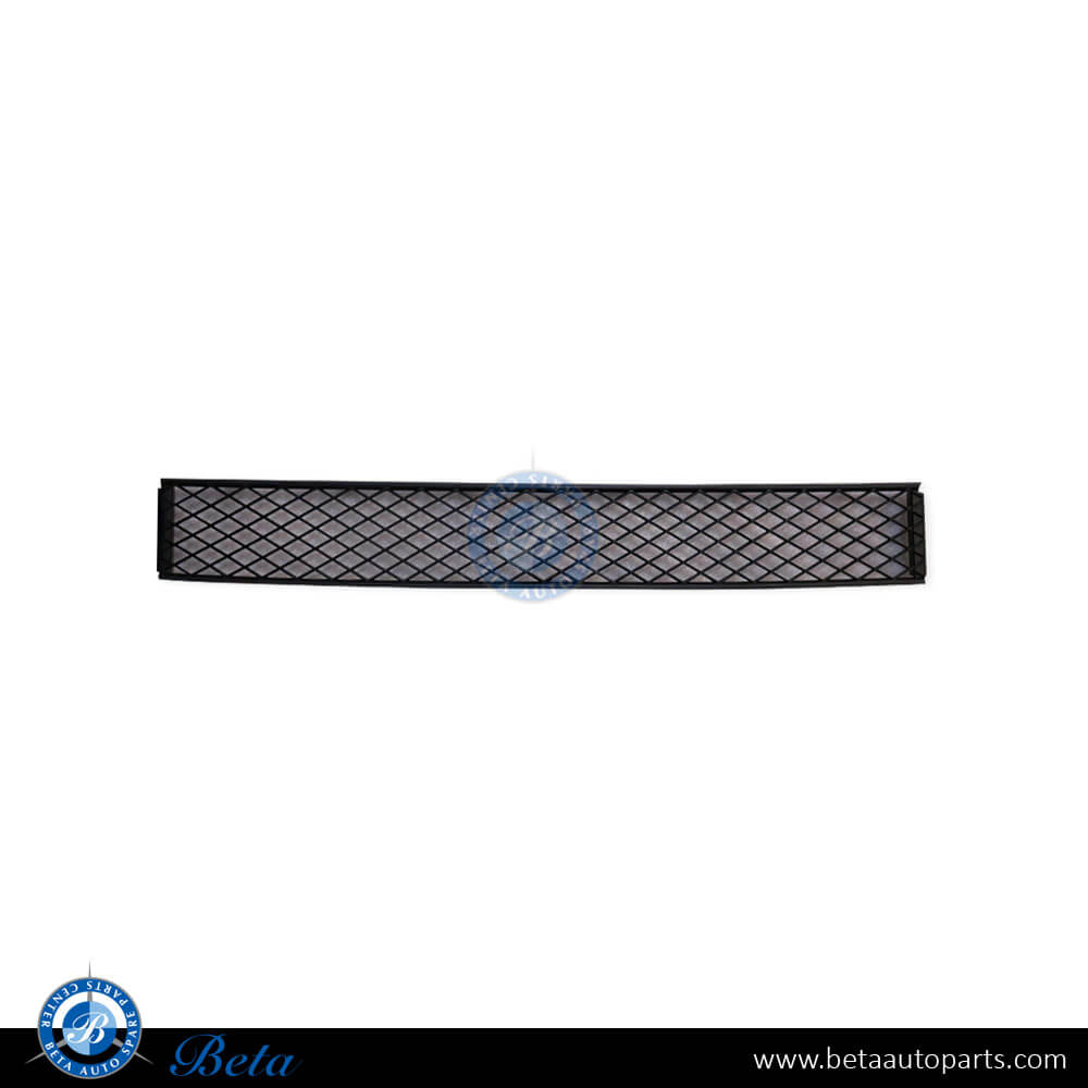 Front Bumper Lower Grille for BMW 7 Series F01/F02 2009-2012 models, Part Number 51117183870