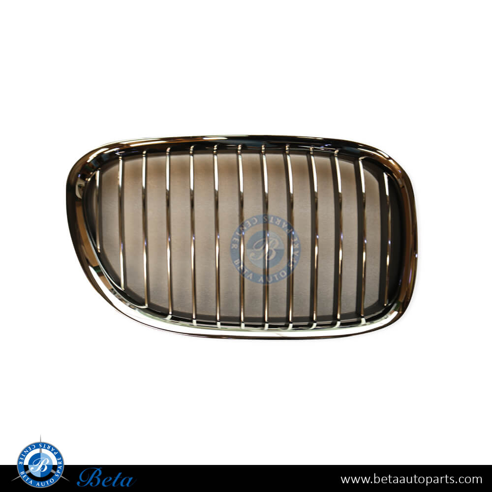 Left Side Radiator Grille for BMW 7 Series F01/F02 2009-2012 models, Part Number 51117184151