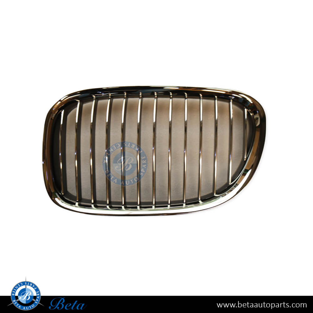 Right Side Radiator Grille for BMW 7 Series F01/F02 2009-2012 models, Part Number 51117184152