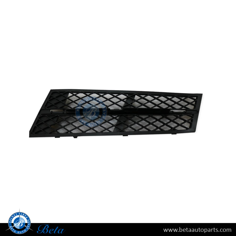 BMW 5 Series F10 (2010-2013), Front Bumper Lower Grille (Left), Taiwan, 51117200697