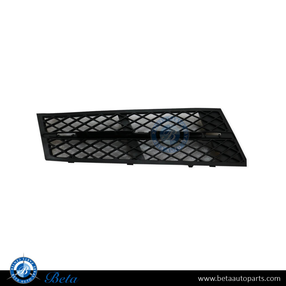 BMW 5 Series F10 (2010-2013), Front Bumper Lower Grille (Right), Taiwan, 51117200698