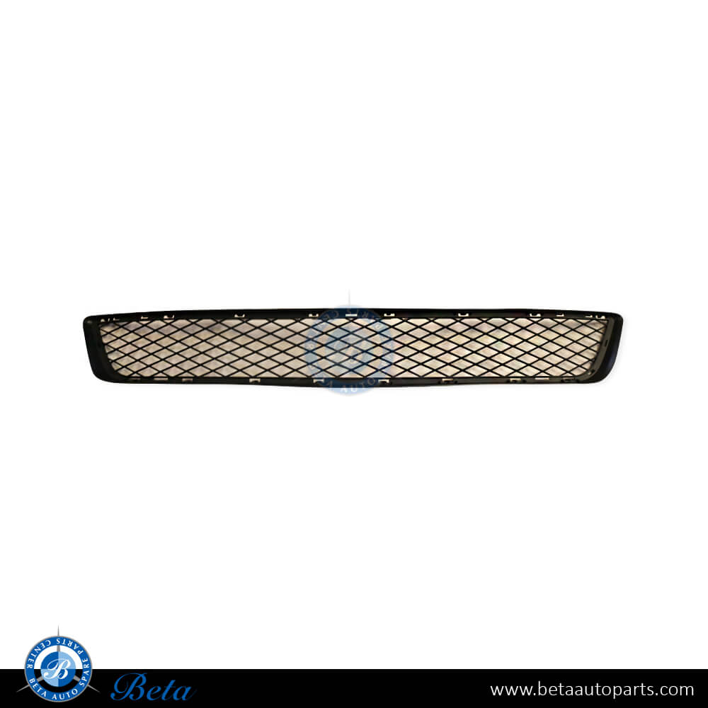 Front Bumper Lower Grille for BMW X5 E70 LCI 2011-2013 models, Part Number 51117222856