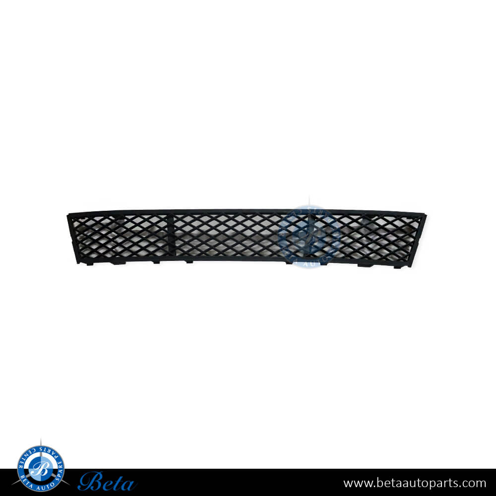 BMW 5 Series F10 (2010-2013), Front Bumper Lower Grille (Center), Taiwan, 51117285950