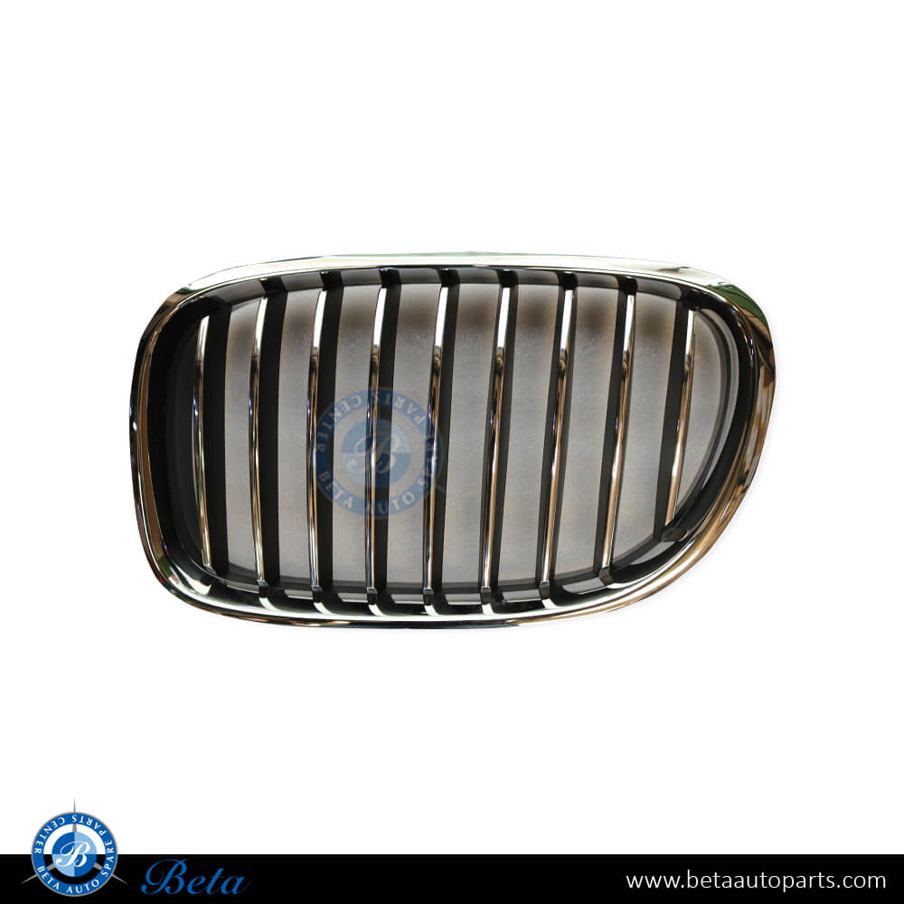 Left Side Radiator Grille for BMW 7 Series F01/F02 LCI 2013-2015 models, Part Number 51117295297