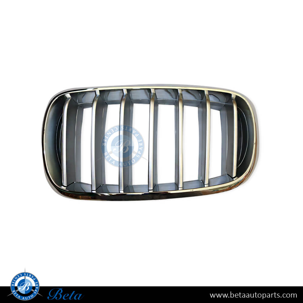 BMW X5 F15 (2014-2018), Grille - Titanium (Left), China, 51117303107