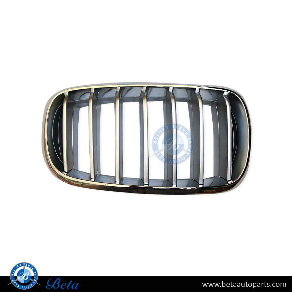 BMW X5 F15 (2014-2018), Grille - Titanium (Right), China, 51117303108