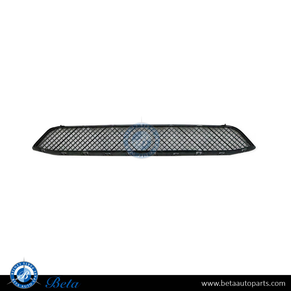 Front Bumper Lower Grille - Basis for BMW X1 E84 2011-2015 models, Part Number 51117303752