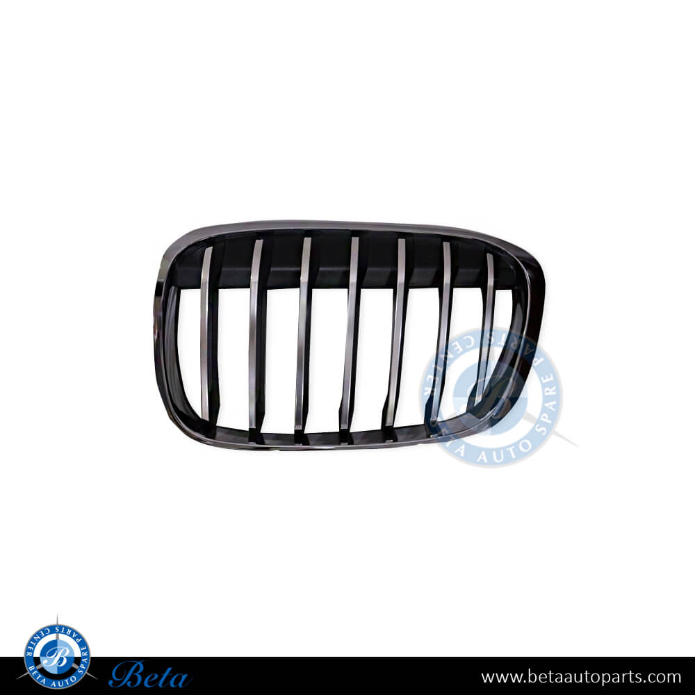 Left Side Grille X-Line for BMW X1 F48 2016-2019 models, Part Number 51117383365