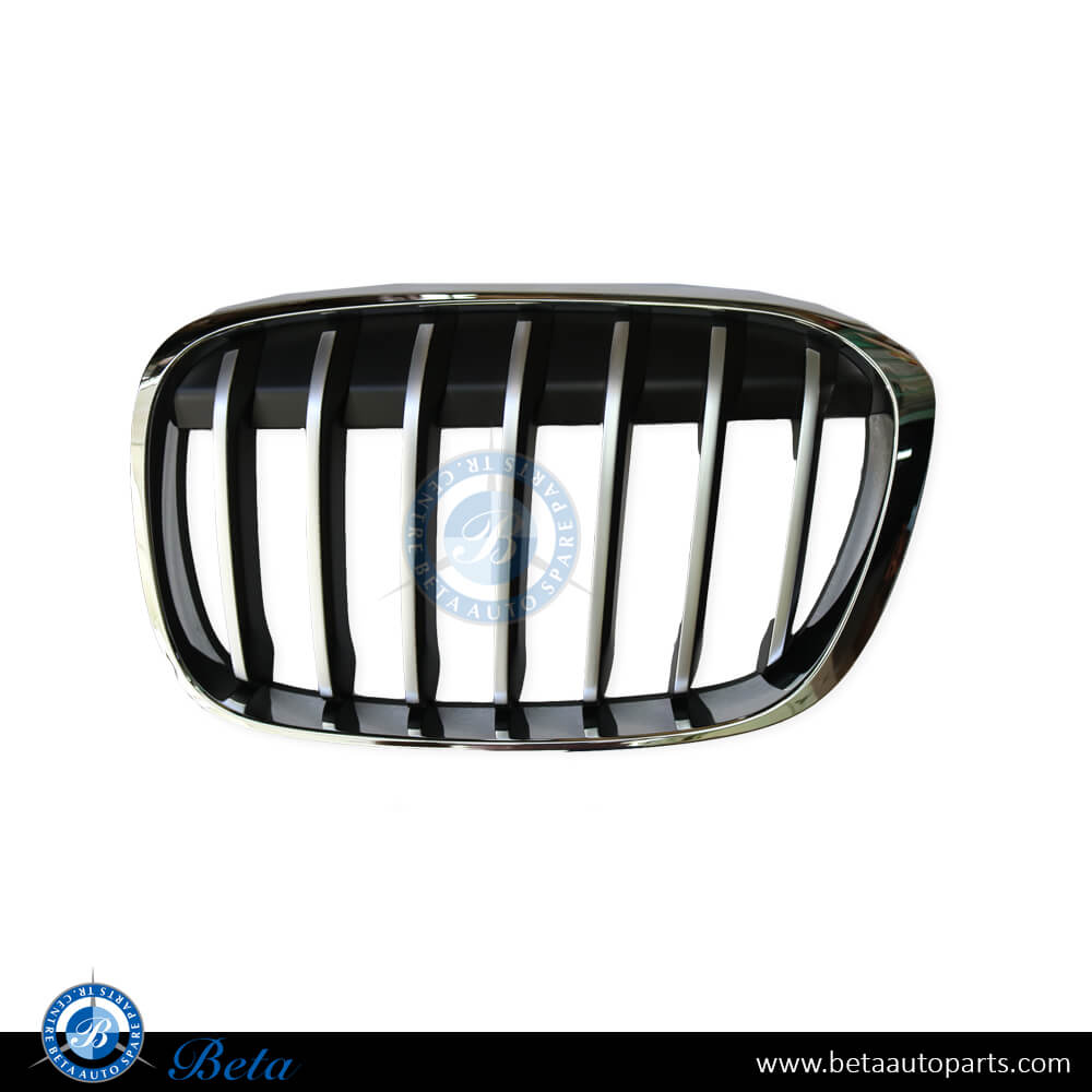 Left Side Radiator Grille X-Line for BMW X1 F48 2016-2019 models, Part Number 51117383365