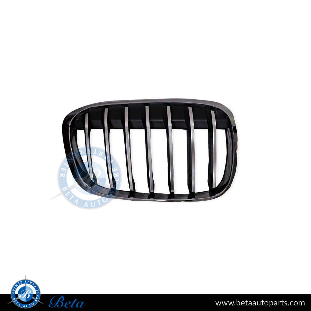 Right Side Grille X-Line for BMW X1 F48 2016-2019 models, Part Number 51117383366