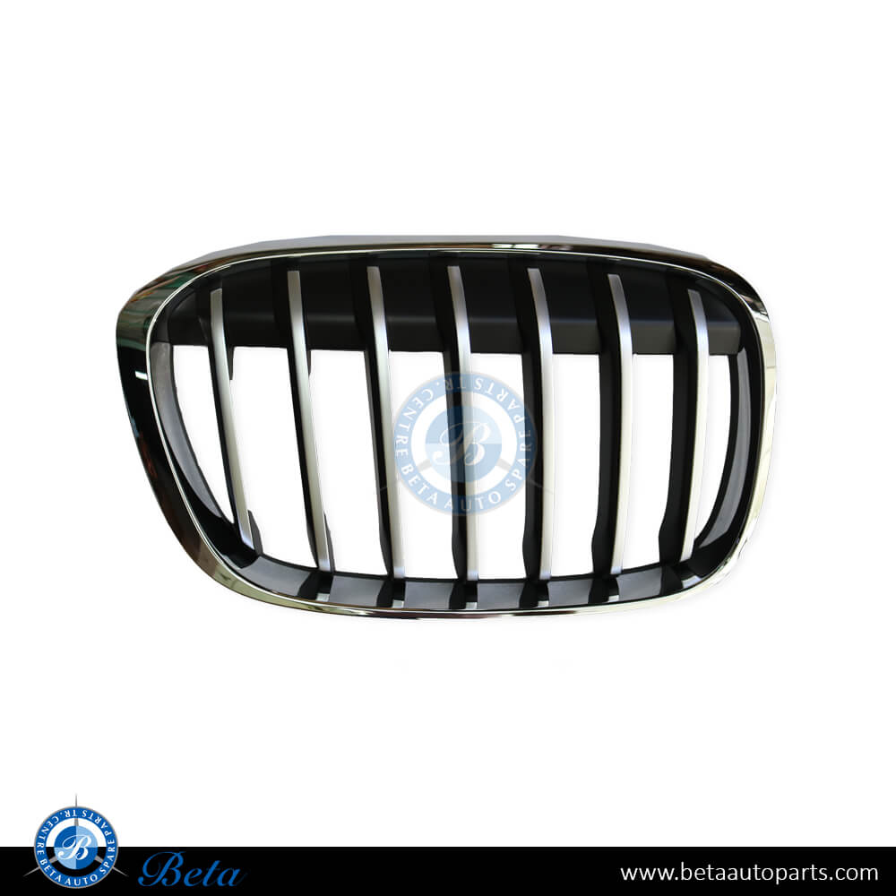 Right Side Radiator Grille X-Line for BMW X1 F48 2016-2019 models, Part Number 51117383366