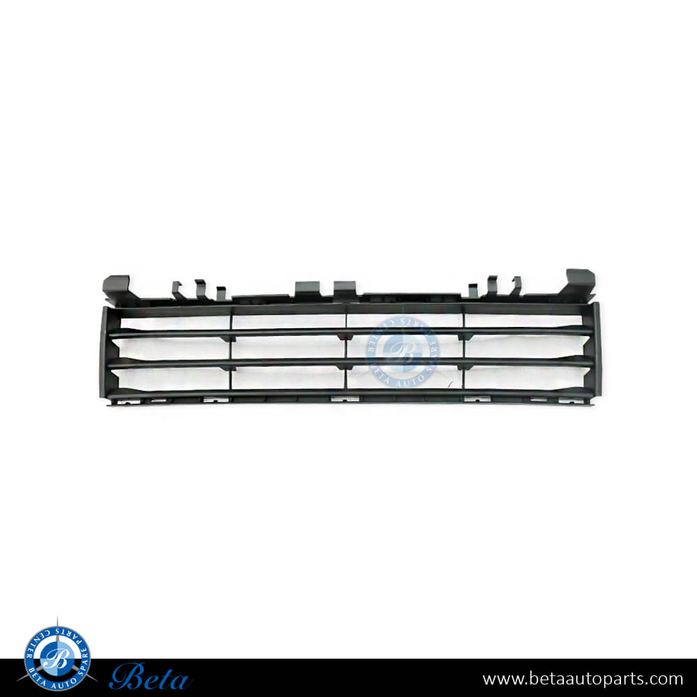 BMW 5 Series G30 (2017-2020), Front Bumper Lower Grille - Basis (Center), China, 51117385257