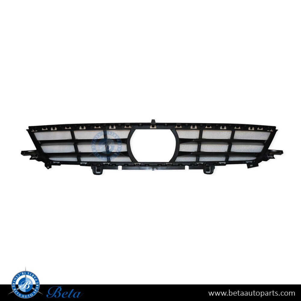 Front Bumper Lower Grille with ACC for BMW X5 G05 2019-2023 models, Part Number 51117421805