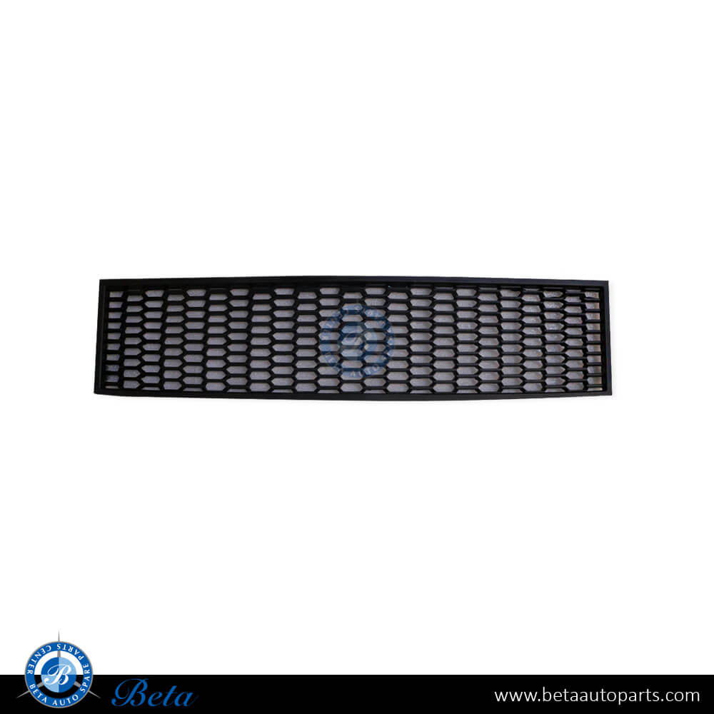 BMW 5 Series F10 (2010-2013), Front Bumper Lower Grille M-Tek (Center), Taiwan, 51117903894