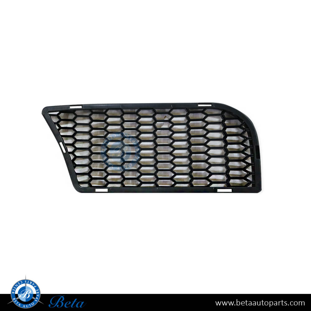 BMW 5 Series F10 (2010-2016), Front Bumper Lower Grille M5 (Right), Taiwan, 51118047394