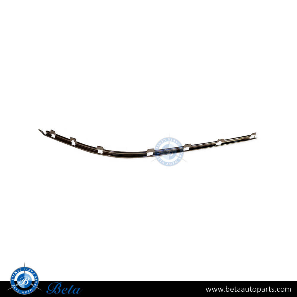 BMW 5 Series E39 (1996-2000), Front Bumper Chrome Moulding (Left), Taiwan, 51118226555