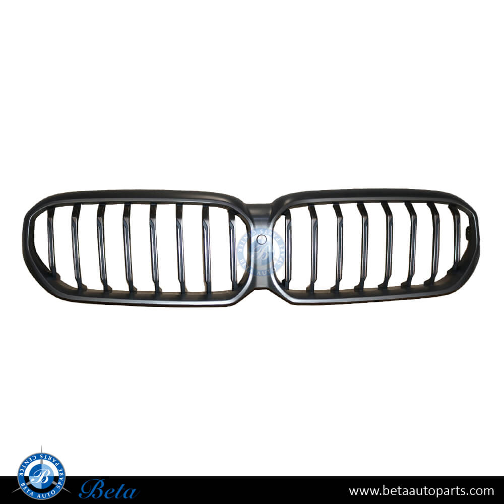 Radiator Grille M-TEK with Camera Hole Silver Color for BMW 5 Series G30 LCI 2021-Up models, Part Number 51129852284