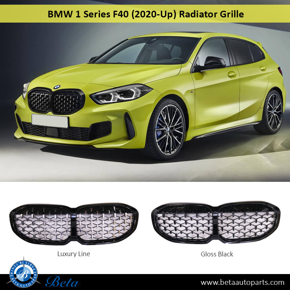 BMW 1 Series F40 (2020-Up), Radiator Grille M-TEK (Luxury Line), China, 51135A39367