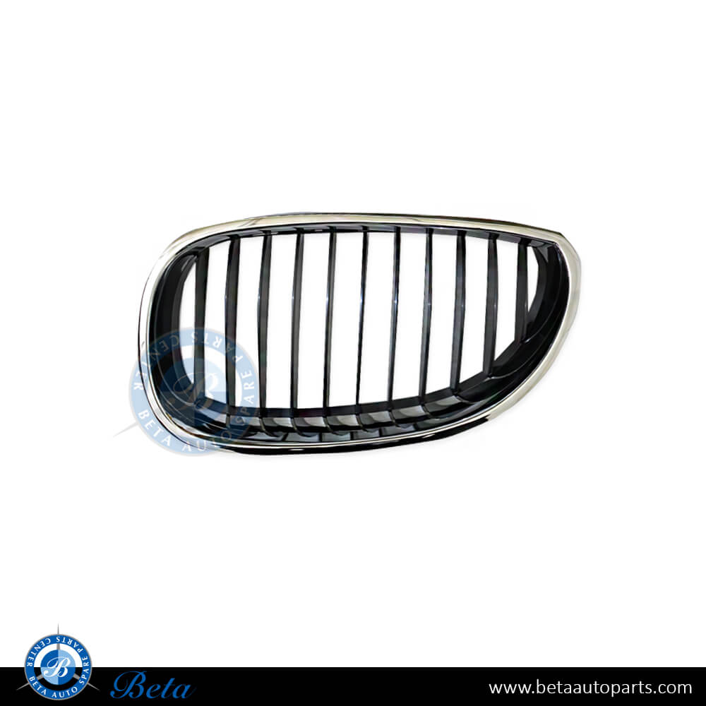 BMW 5 Series E60 (2003-2009), Grille (Left), Taiwan, 51137027061