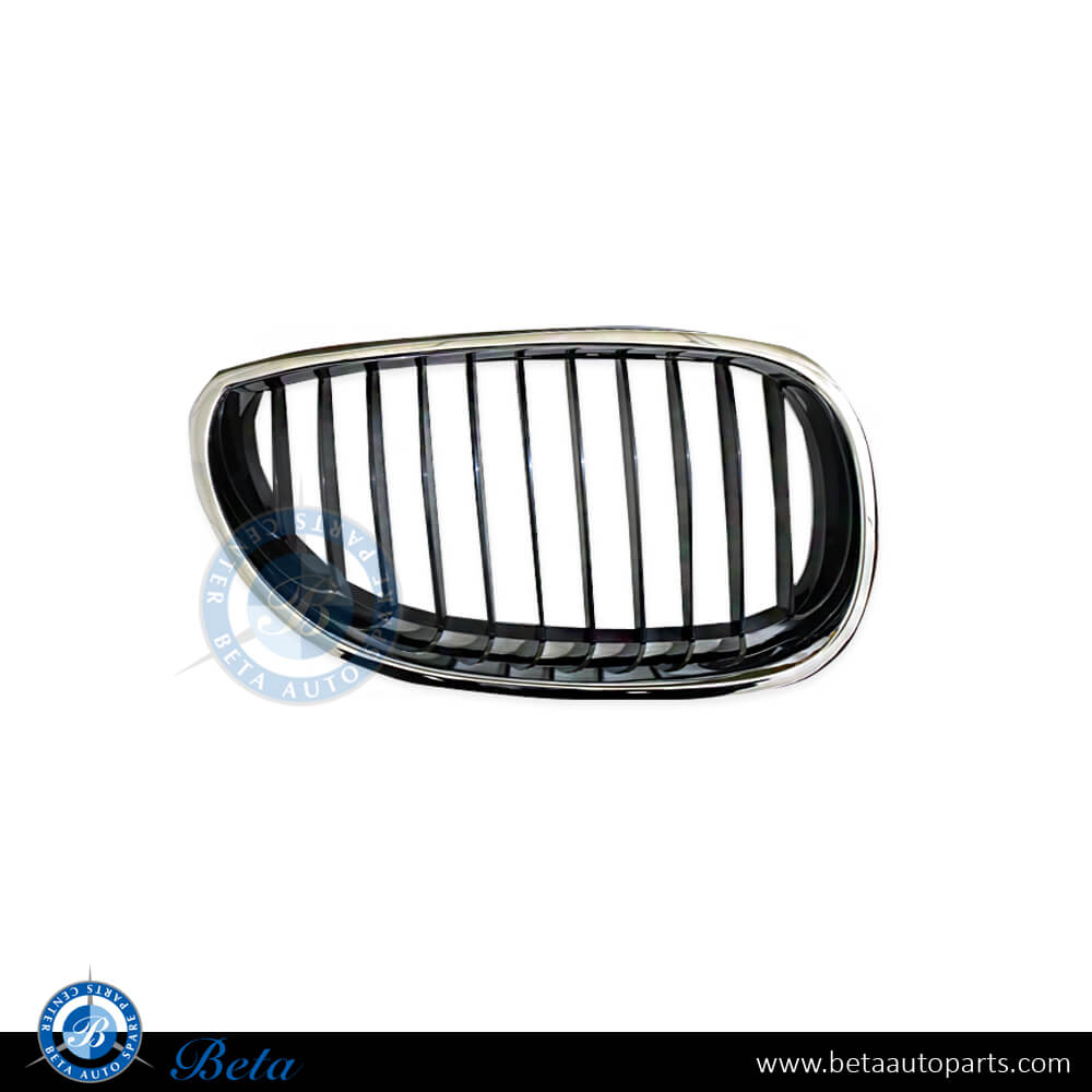 BMW 5 Series E60 (2003-2009), Grille (Right), Taiwan, 51137027062