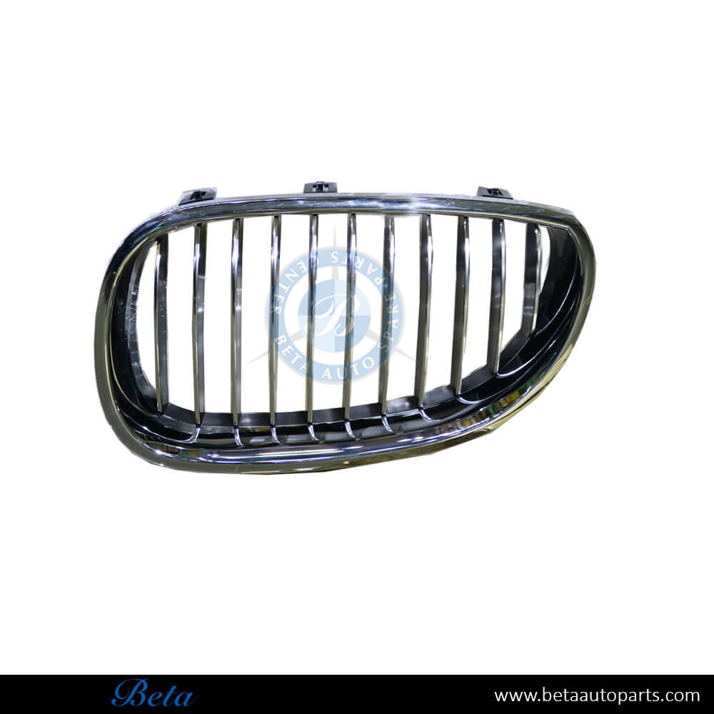 BMW 5 Series E60 (2003-2009), Grille (Left), Taiwan, 51137065701